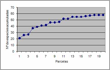 Figura 5